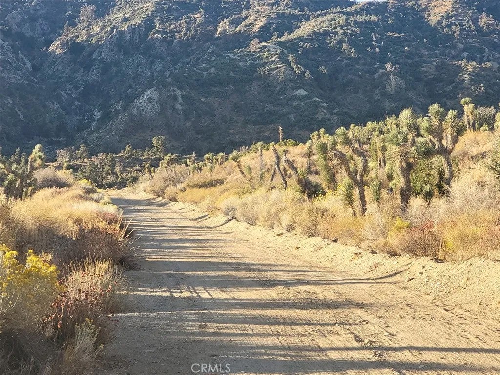 Photo of 300 E Z12, Llano, CA 93544 (MLS # GD26224294)