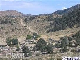 Photo of 300 E Z12, Llano, CA 93544 (MLS # GD26224294)
