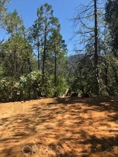 507 Broken Springs