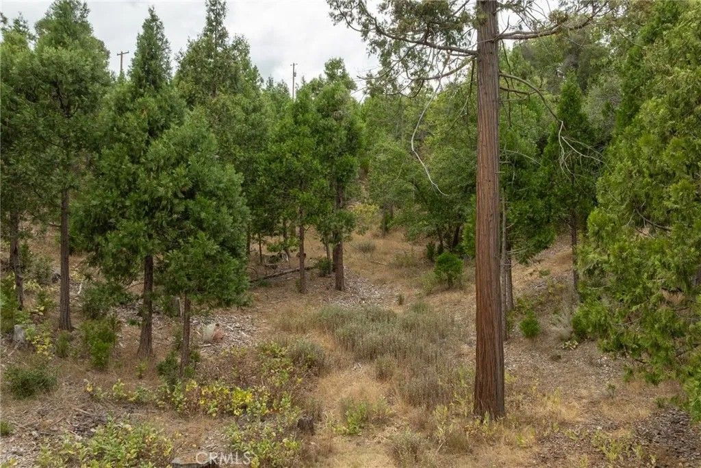 Photo of 26 Timberview, North Fork, CA 93643 (MLS # FR25280806)