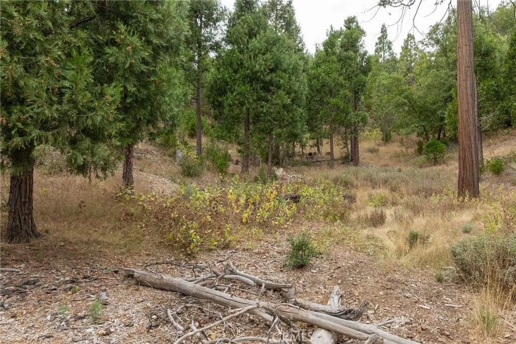 Photo of 26 Timberview, North Fork, CA 93643 (MLS # FR25280806)