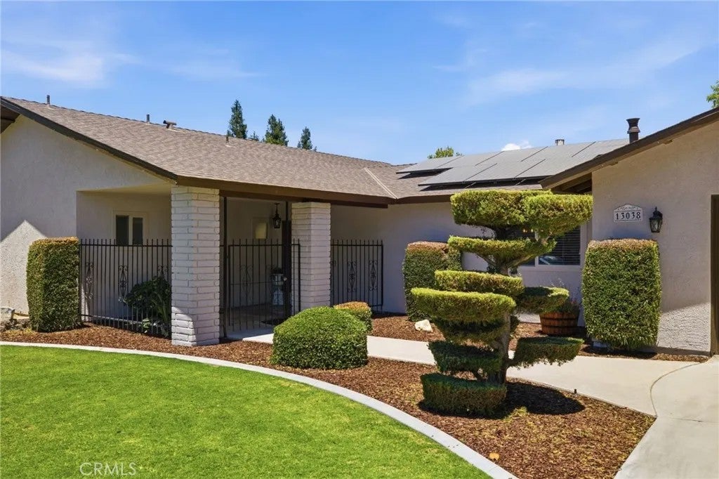 13038 Appaloosa