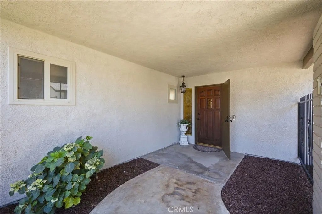 13038 Appaloosa