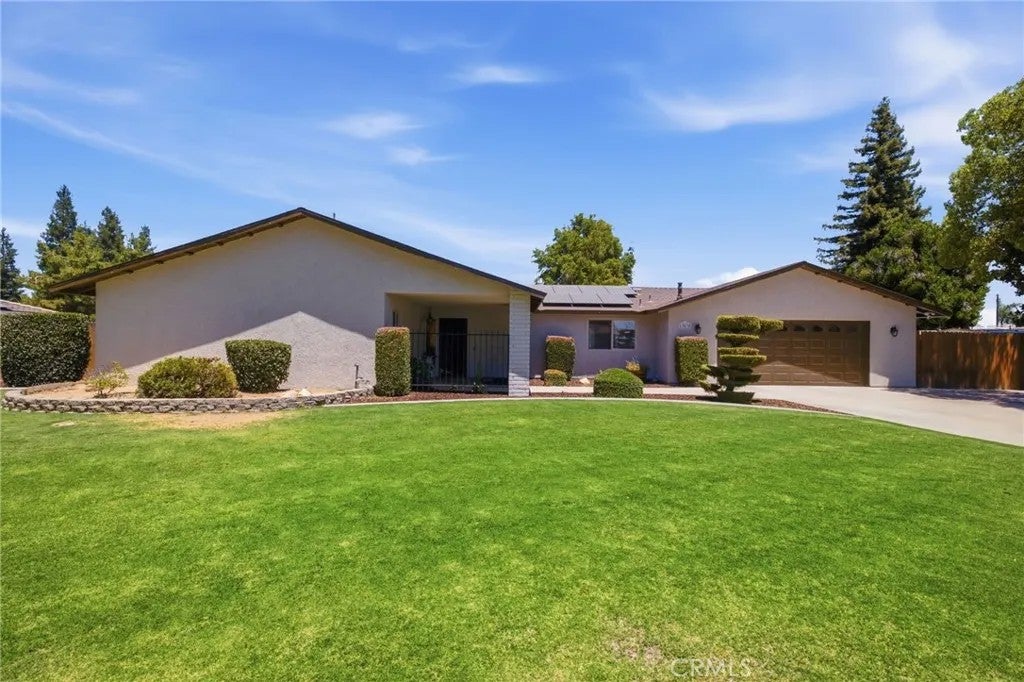 13038 Appaloosa