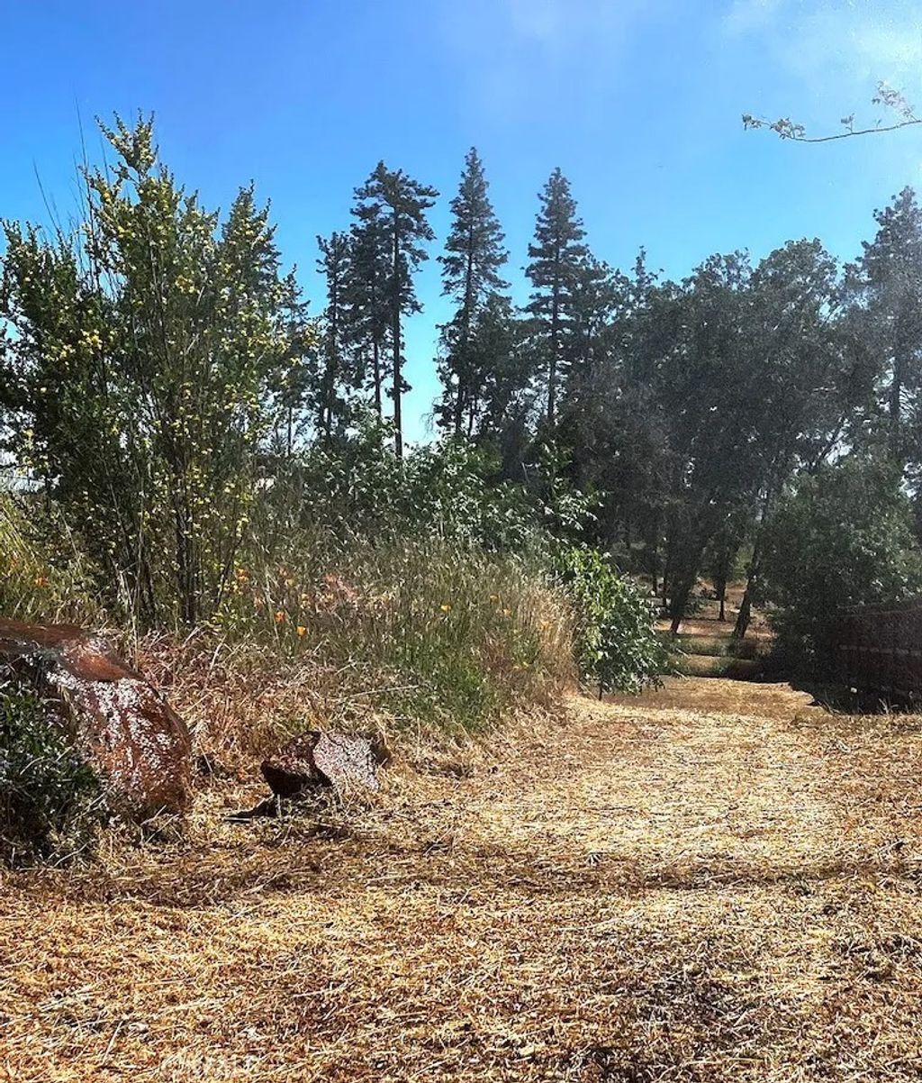 Photo of 1318 Pearson Rd, Paradise, CA 95969 (MLS # PW26068515)