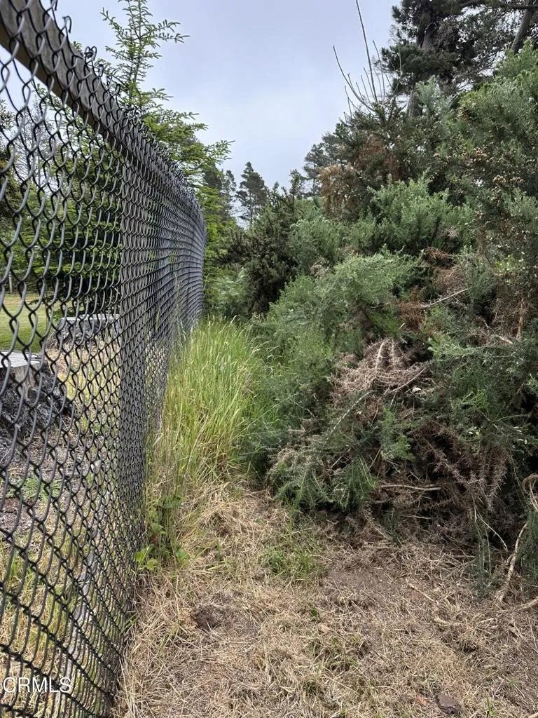 0 Pine
