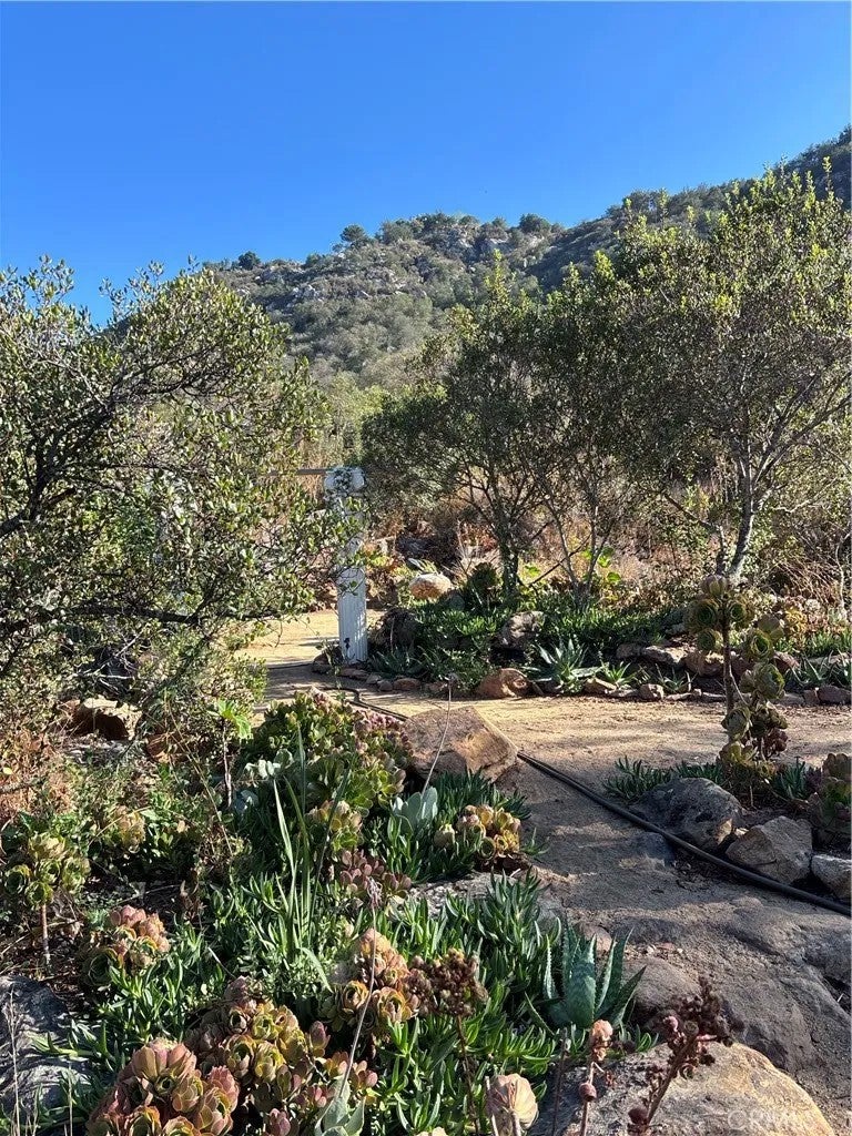 14549 Woods Valley