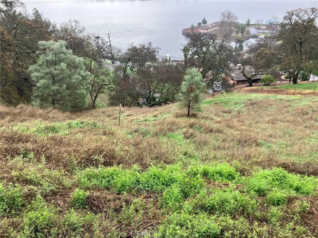 12039 Lakeview