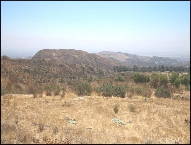 0 Rayland or Piute