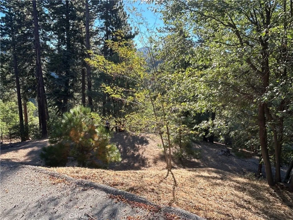 2335 Deep Creek