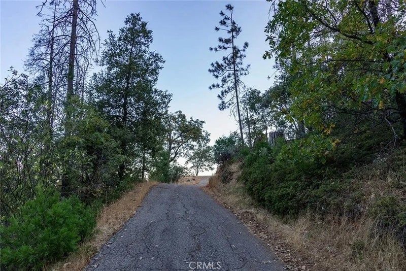 35528 Road 223