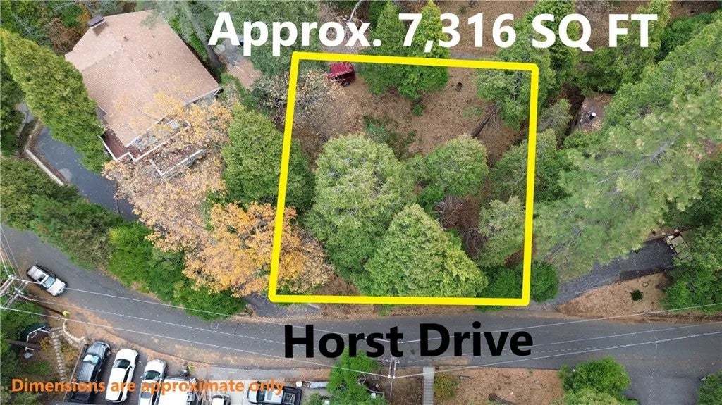 24397 Horst