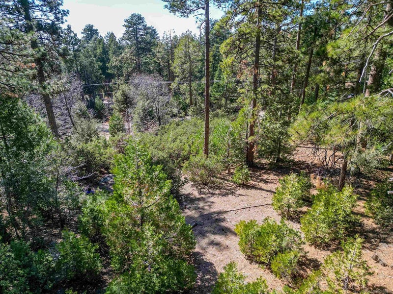 00 Laurel Trail Lot 7