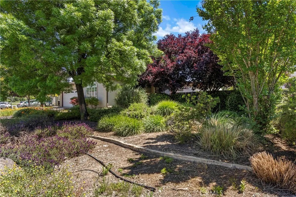 1035 Penelope Court