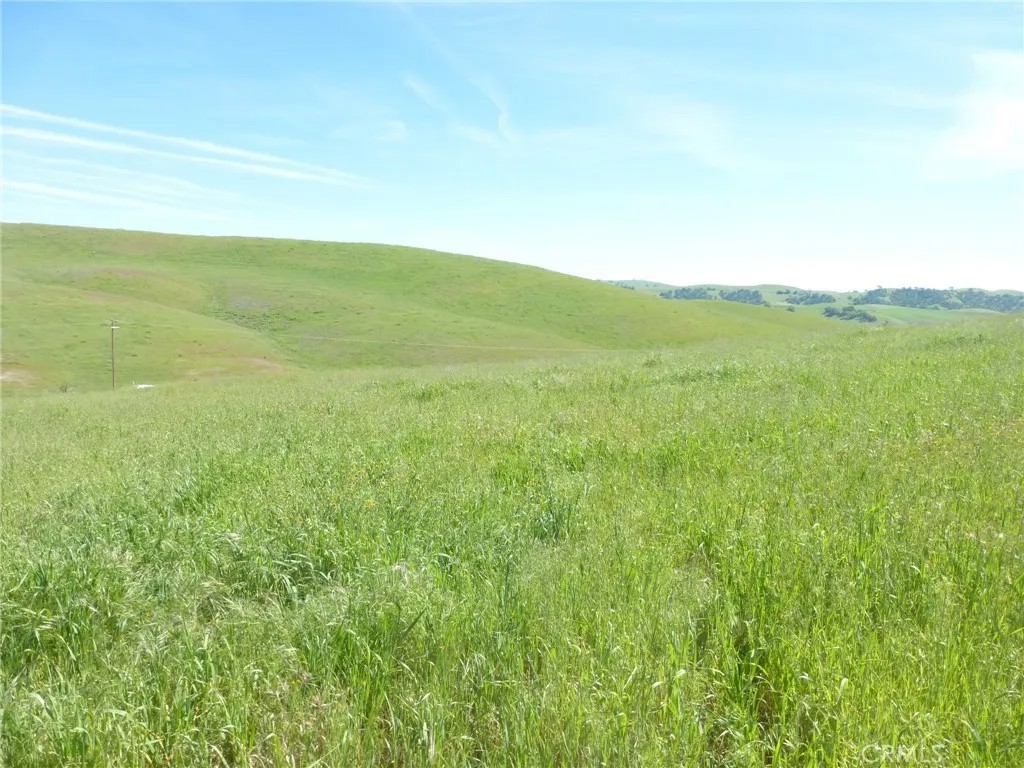 0 Douglas Rd. (Lot 33)
