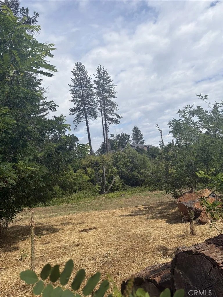380 Oak Spring