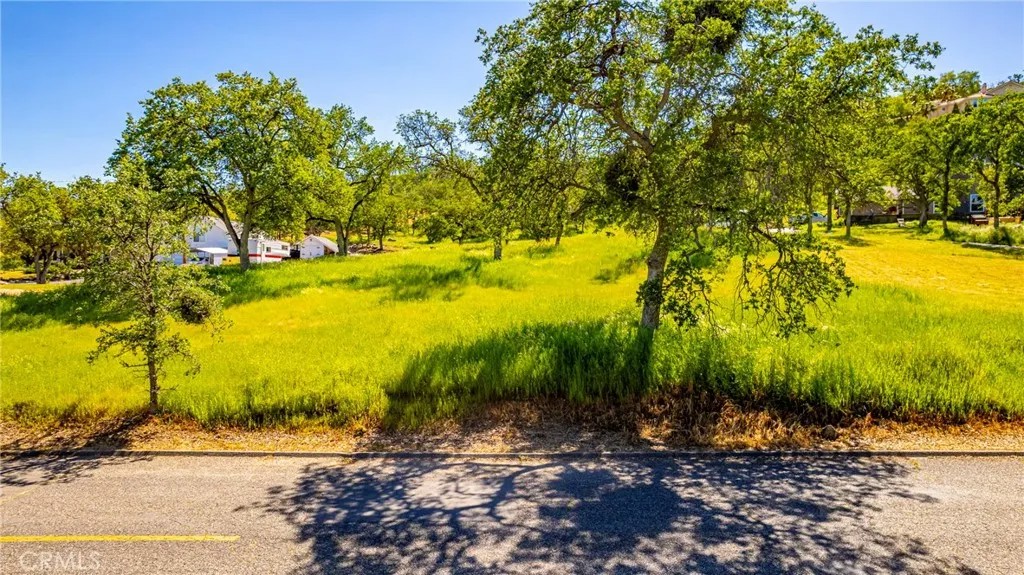 1 Horseshoe DR