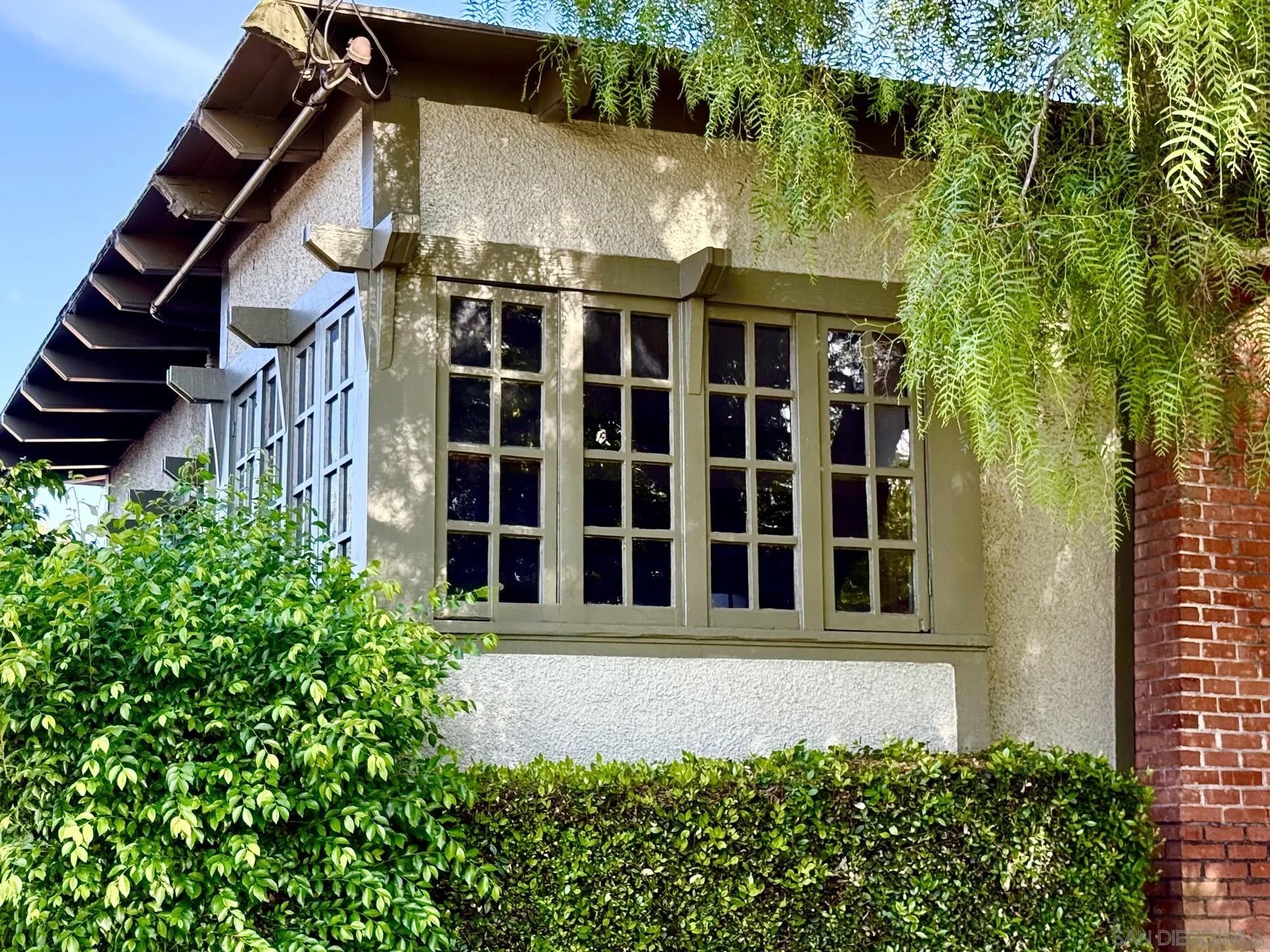 4251 Ibis Street