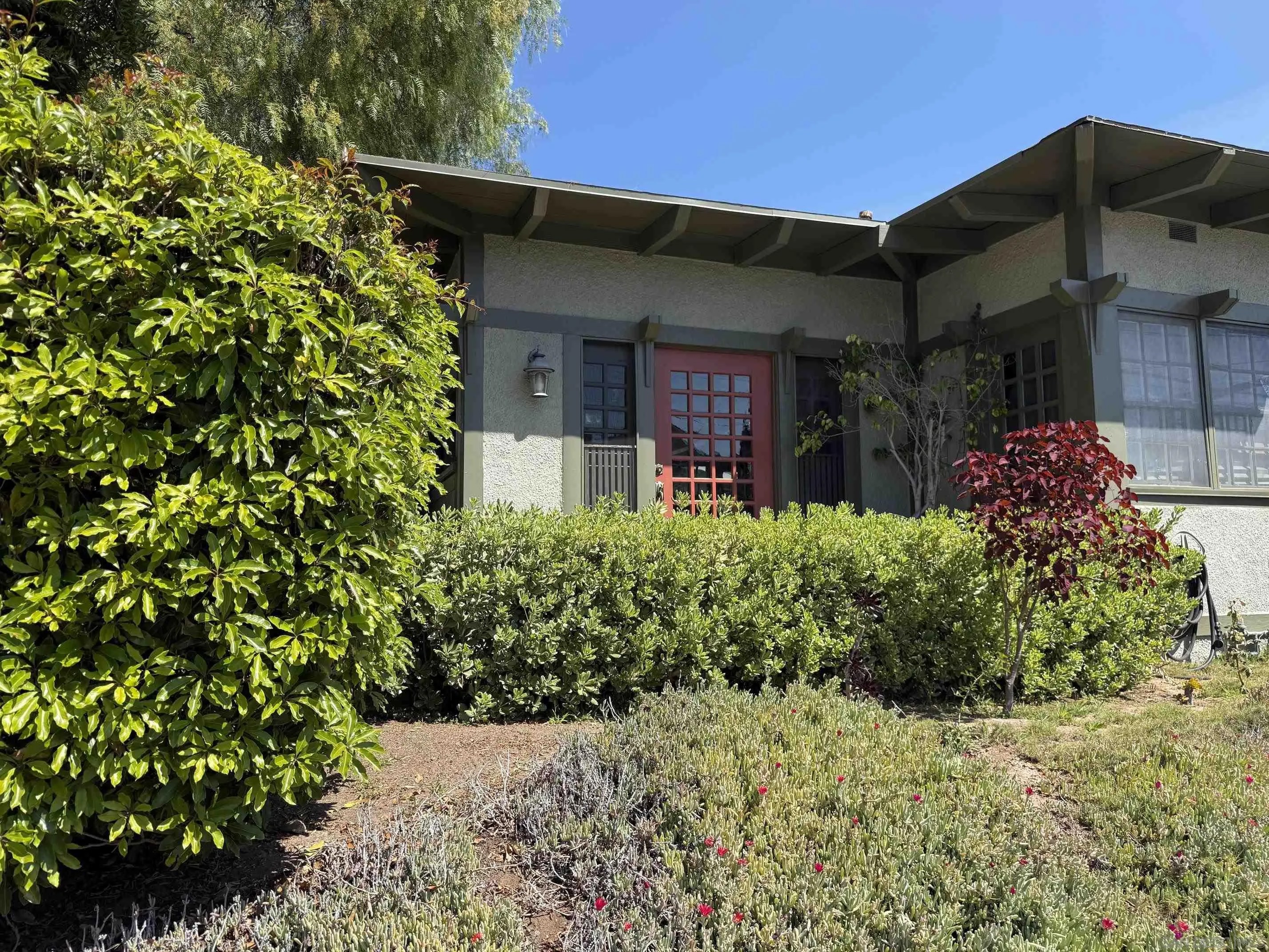 4251 Ibis Street