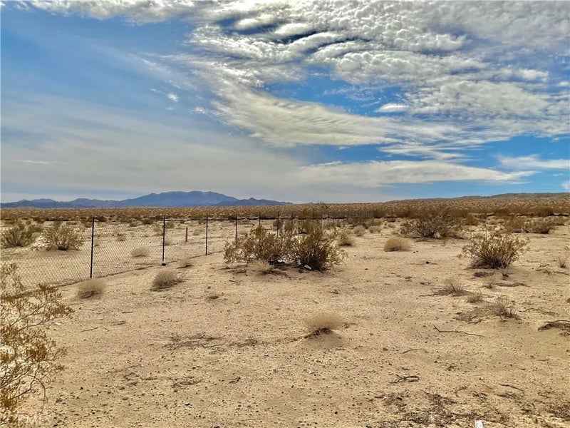 80767 29 Palms