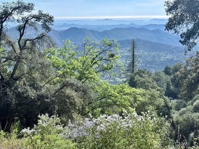 32900 South Grade