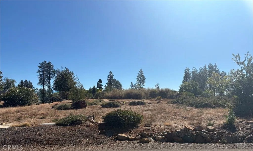 Photo of 5970 Sawmill RD, Paradise, CA 95969 (MLS # SN26195813)
