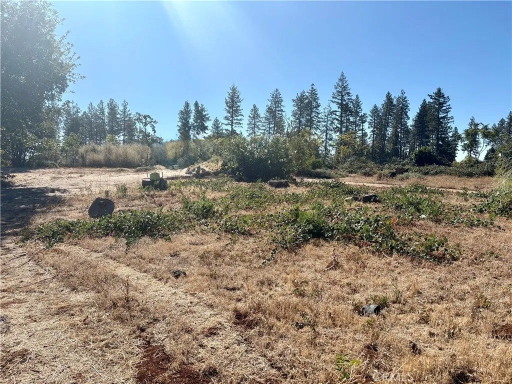 Photo of 5970 Sawmill RD, Paradise, CA 95969 (MLS # SN26195813)