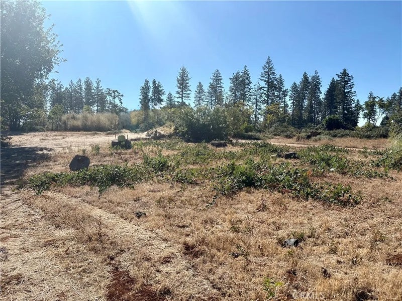 5970 Sawmill