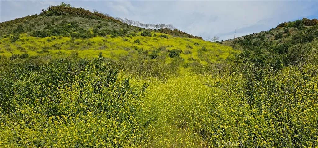 Photo of 46700 El Prado, Temecula, CA 92590 (MLS # SW26105296)