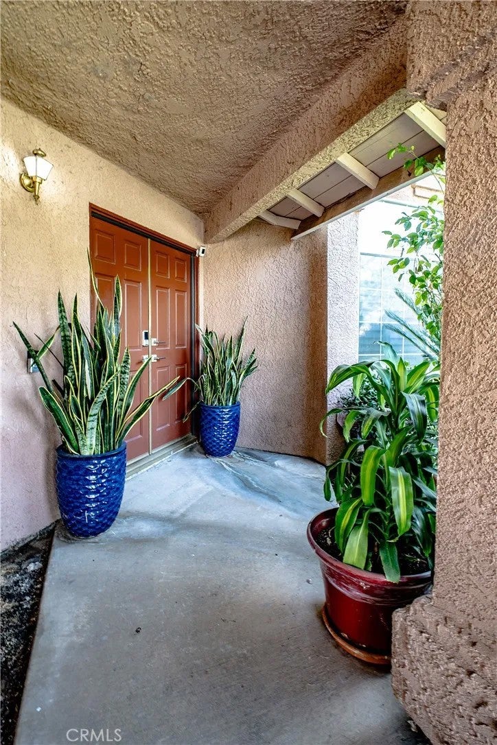 7497 Star Pine circle