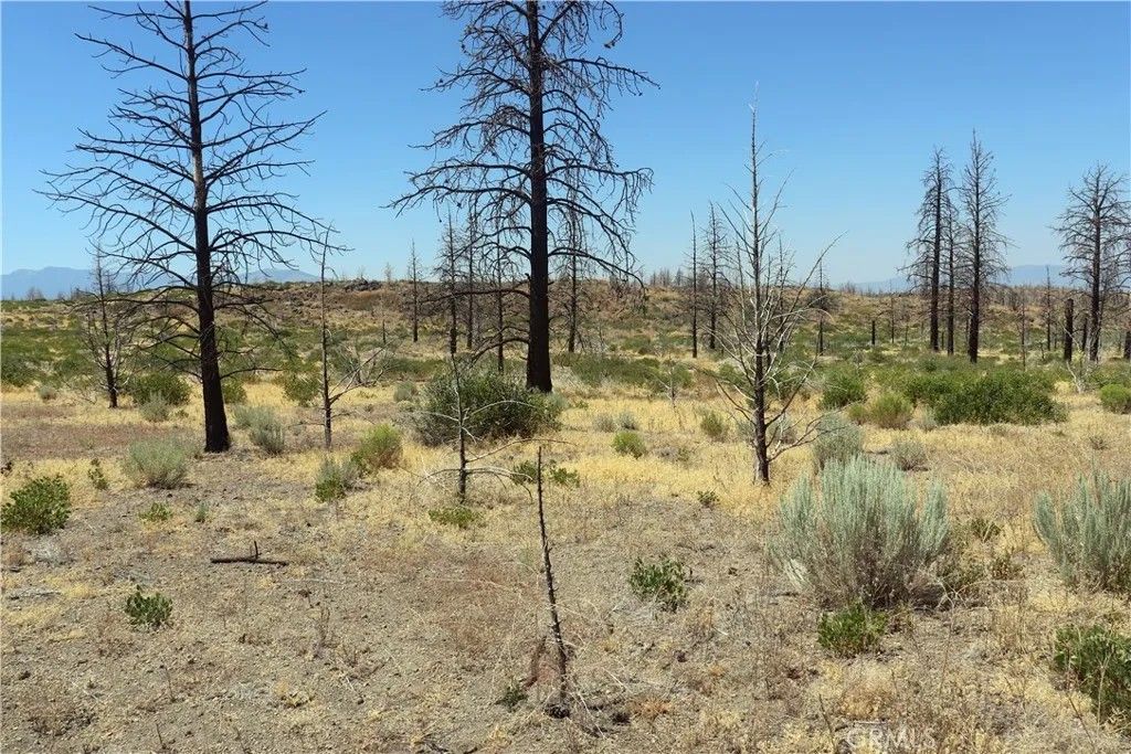 Photo of 0 Juniper Valley, Weed, CA 96094 (MLS # OR26045027)