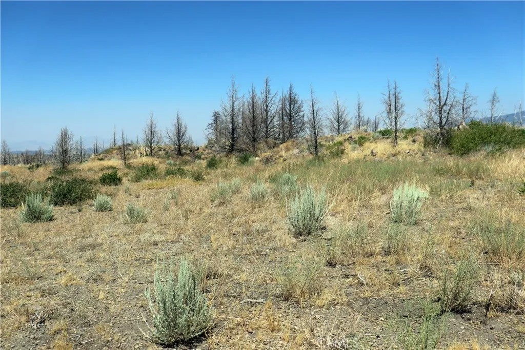 0 Juniper Valley