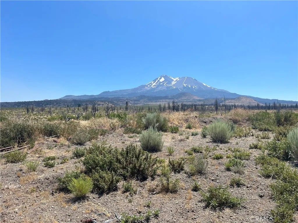 Photo of 0 Juniper Valley, Weed, CA 96094 (MLS # OR26045027)