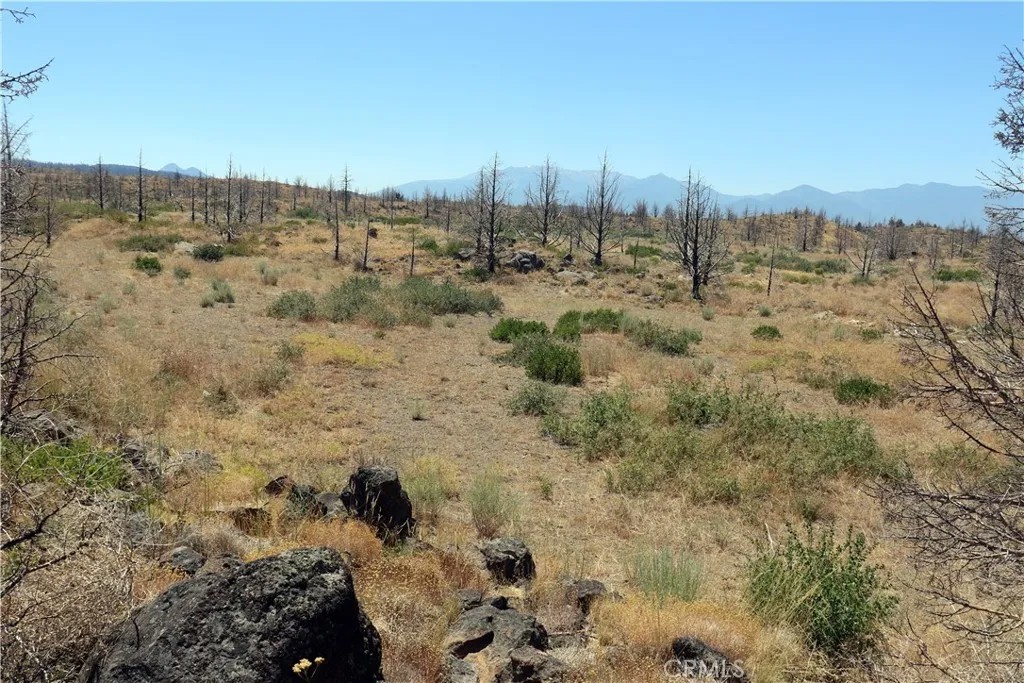 0 Juniper Valley