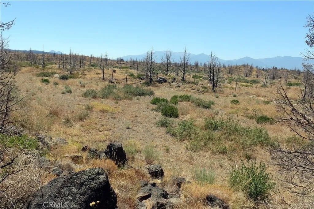 Photo of 0 Juniper Valley, Weed, CA 96094 (MLS # OR26045027)