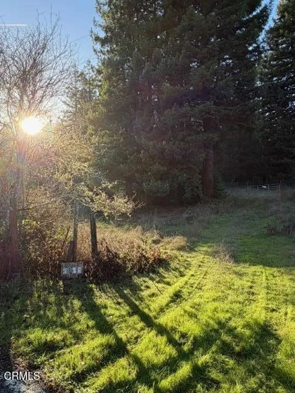 Photo of 7800 Flynn Creek, Comptche, CA 95427 (MLS # C1-11228)