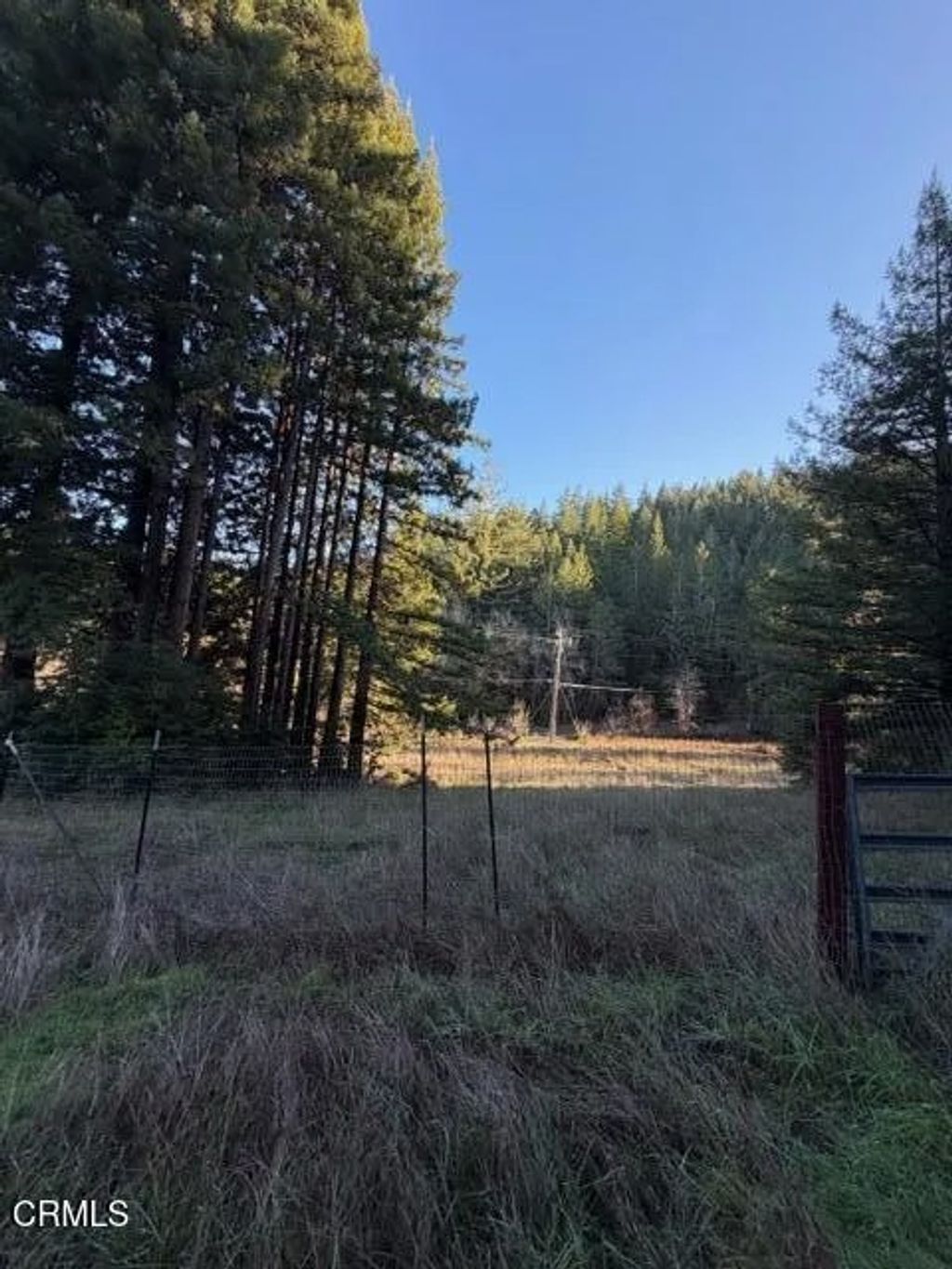 Photo of 7800 Flynn Creek, Comptche, CA 95427 (MLS # C1-11228)