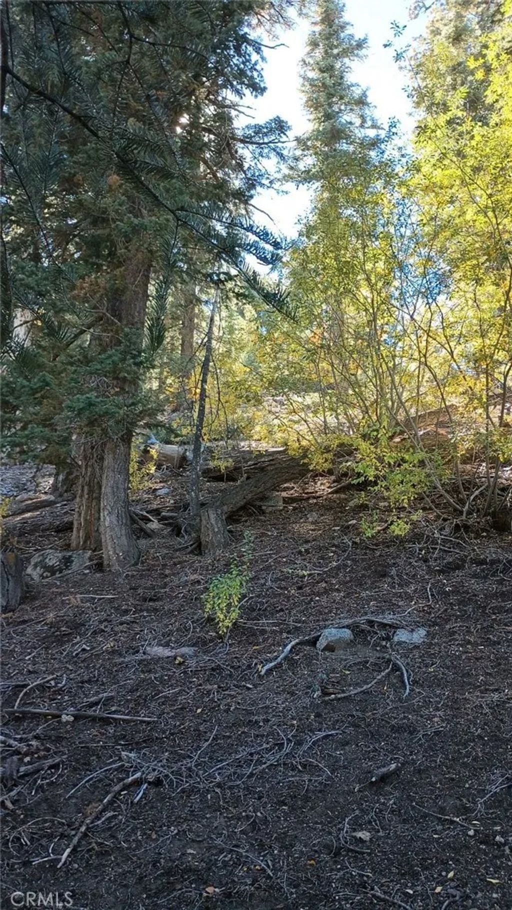 Photo of 0 Cherry, Big Bear Lake, CA 92315 (MLS # SW26111449)