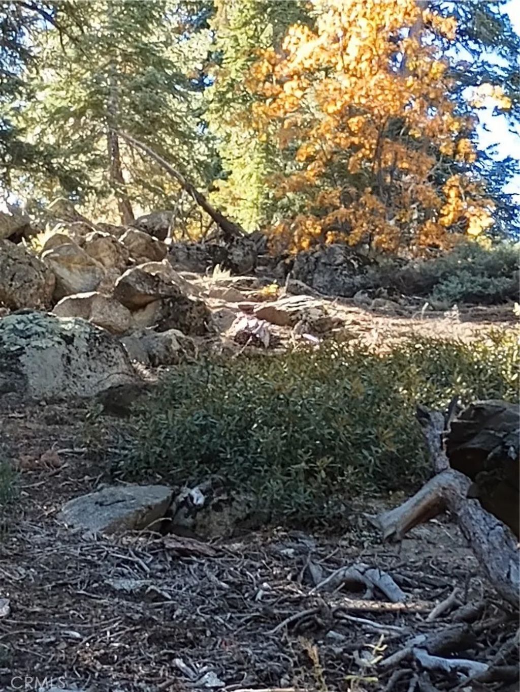 Photo of 0 Cherry, Big Bear Lake, CA 92315 (MLS # SW26111449)