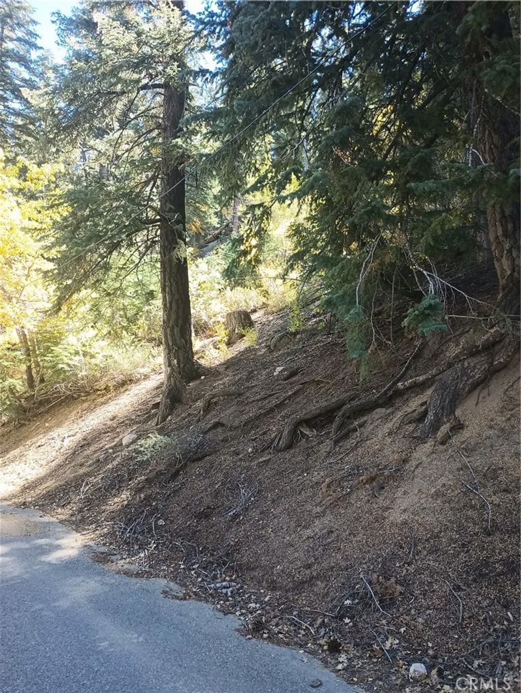 Photo of 0 Cherry, Big Bear Lake, CA 92315 (MLS # SW26111449)