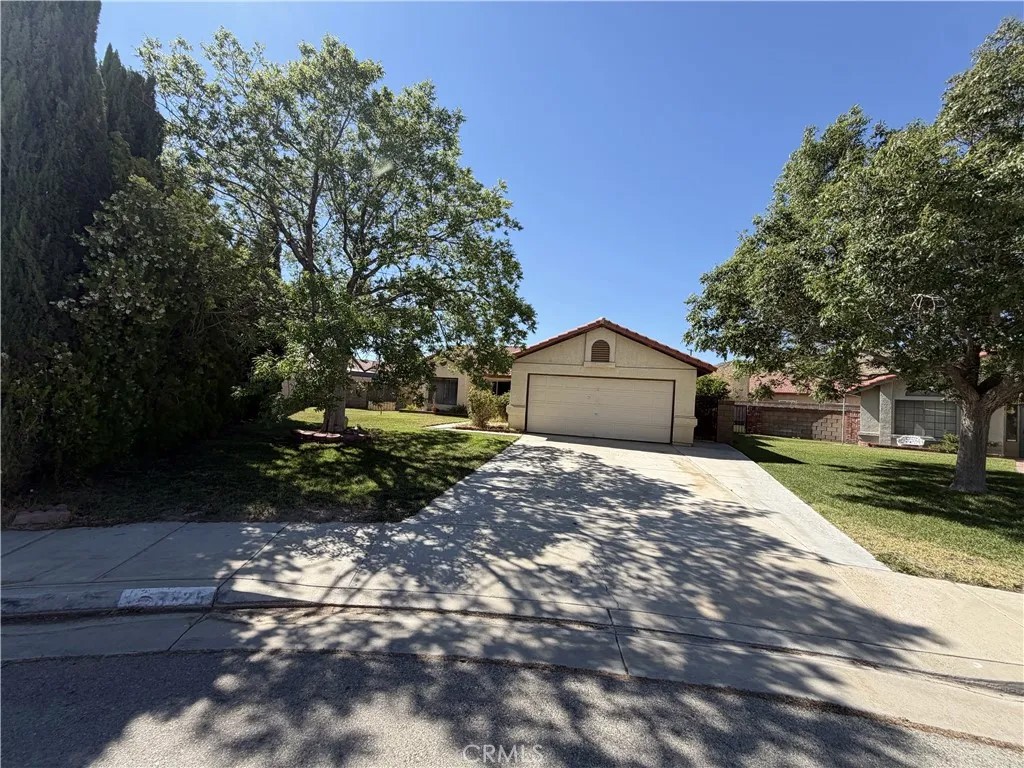 3325 Dale Court