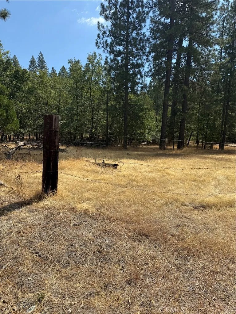 6479 Pine