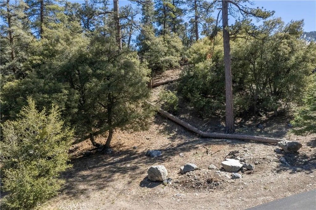 Photo of 1300 Banff Dr, Pine Mountain Club, CA 93222 (MLS # SR26040820)