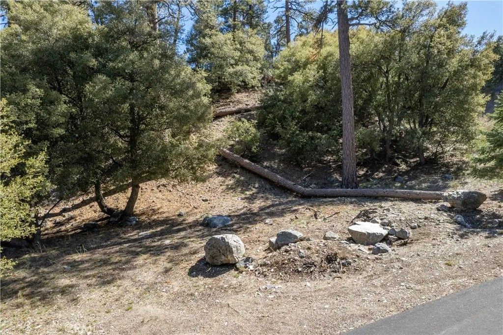 Photo of 1300 Banff Dr, Pine Mountain Club, CA 93222 (MLS # SR26040820)