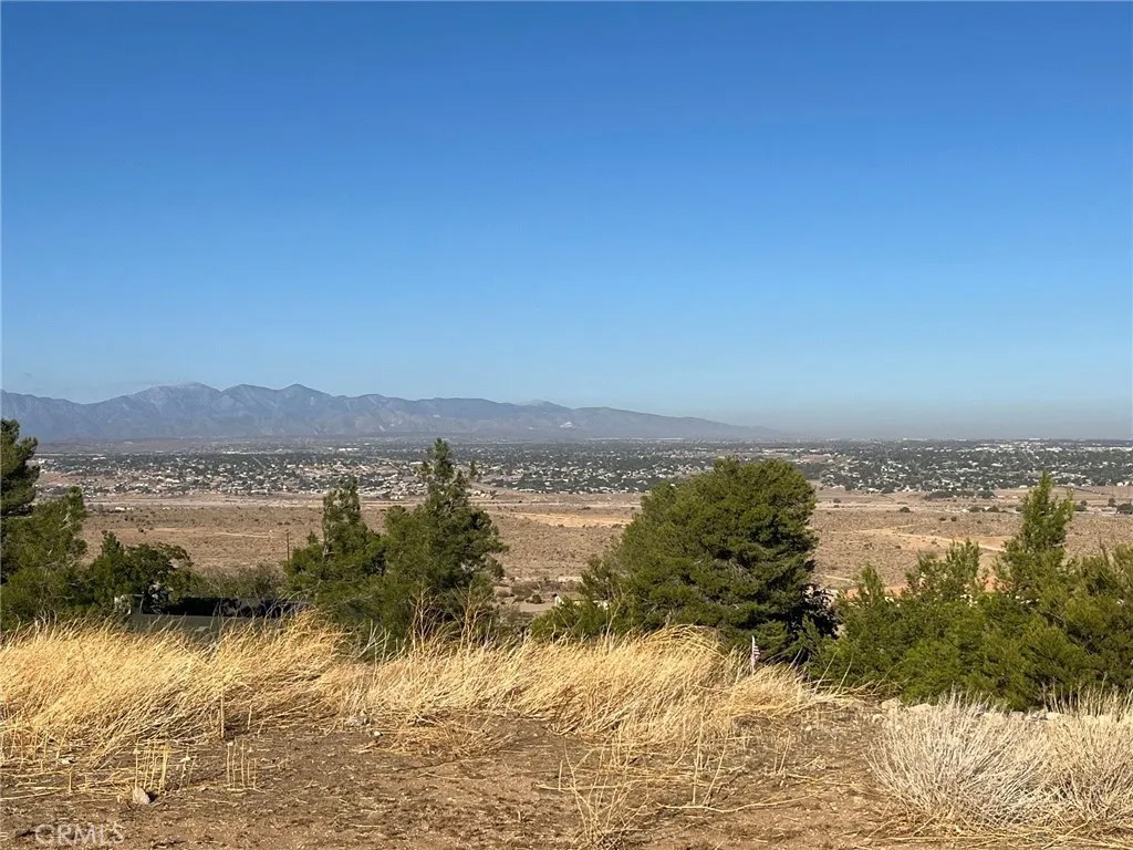 0 Manzanita