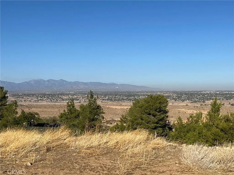 0 Manzanita