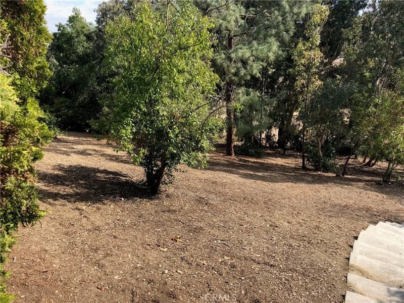 24030 Shotgun Lane