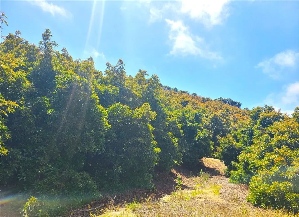 43605 Los Gatos