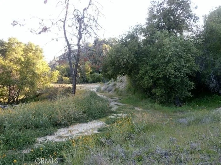 37 Lynx