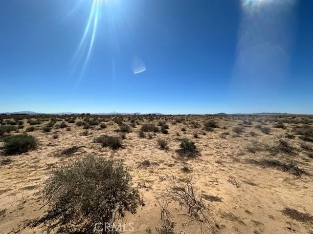0 Salinas